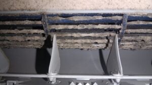 IMG_20250629_092135778