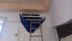 IMG_20250629_094038606